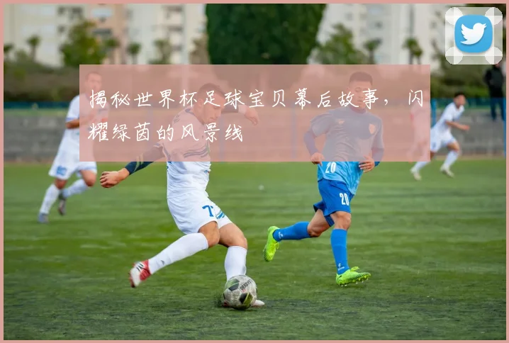 揭秘世界杯足球宝贝幕后故事，闪耀绿茵的风景线